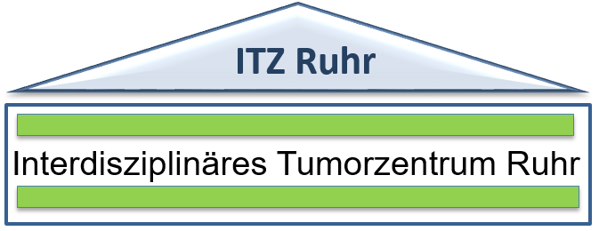 ITZR